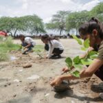 Tree plantation drive in Jahangirpuri, Delhi